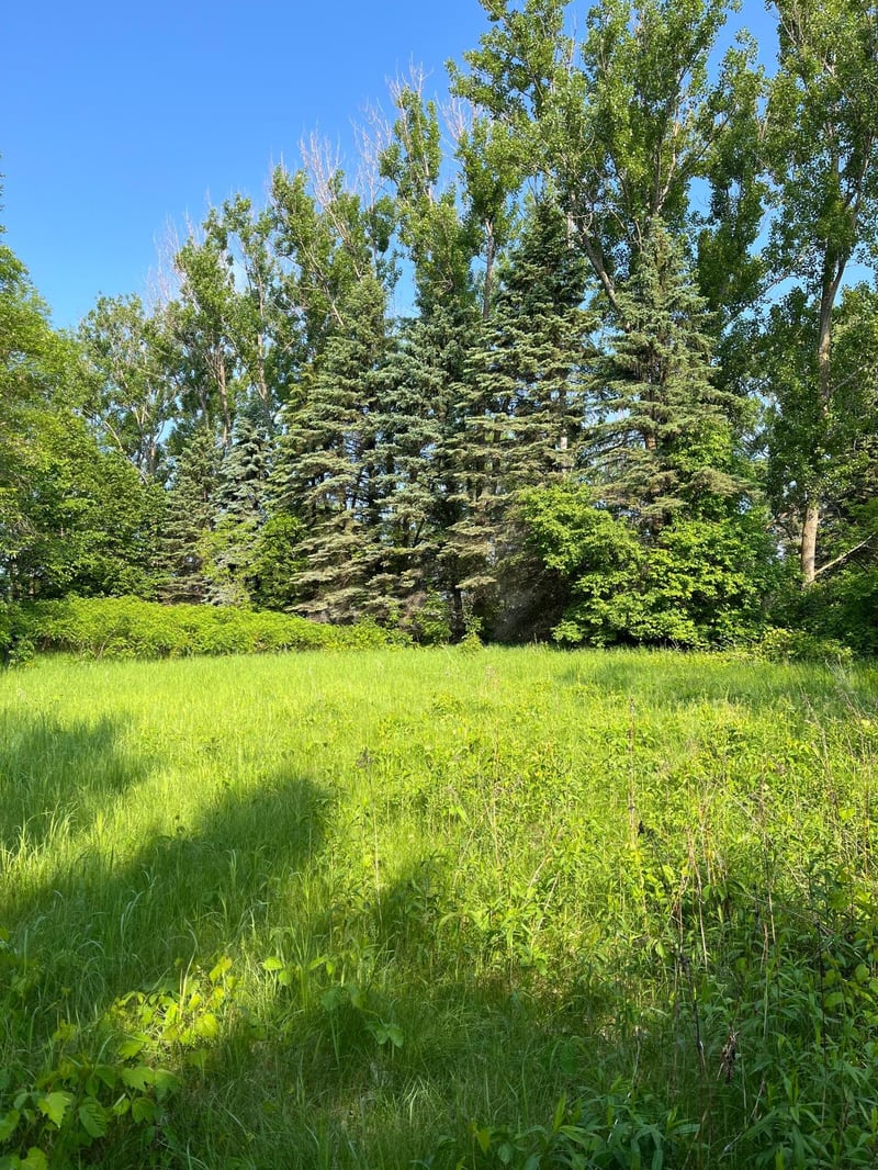 TBD Wild Rose Trl, Frazee, MN 56544