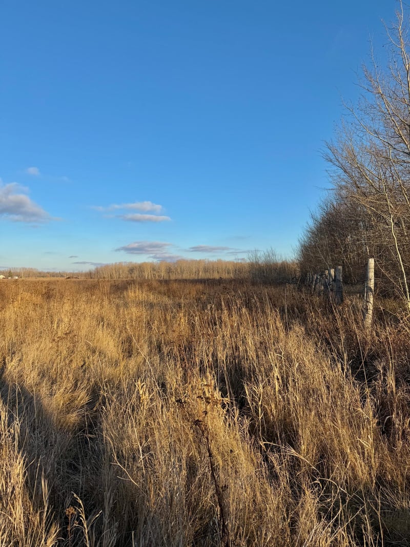 14840 59 Hw NE, Thief River Falls, MN 56701