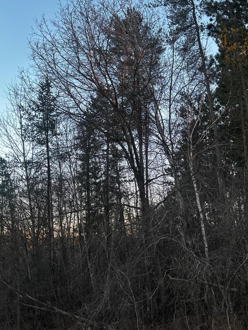 2115 S Brookview Dr, Mora, MN 55051