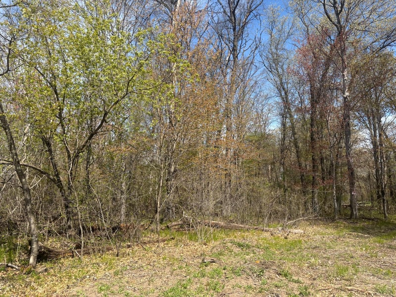 TBD 151st St NW, Princeton, MN 55371