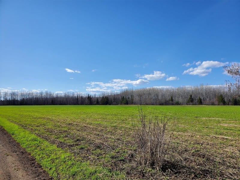 tbd Wildflower Lane Ne, Blackduck, MN 56630