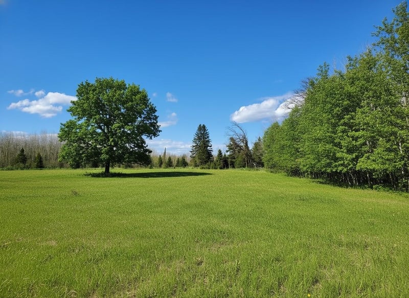 tbd Wildflower Lane Ne, Blackduck, MN 56630