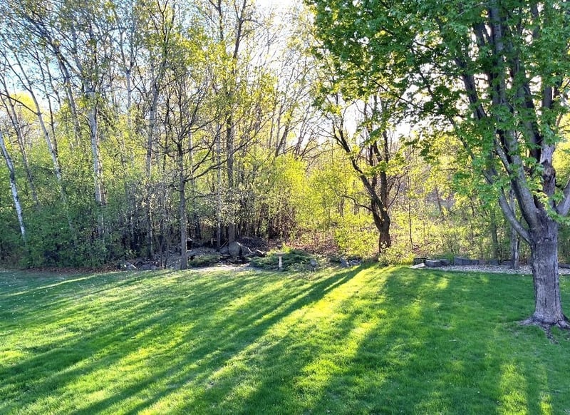 904 Sunwood Park Dr, Waite Park, MN 56387