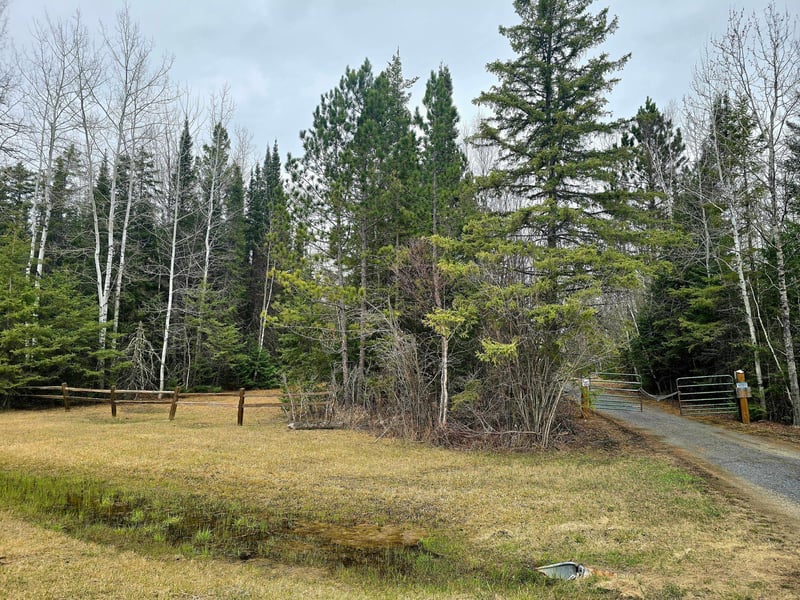 9464 Highway 53, Kabetogama, MN 56669
