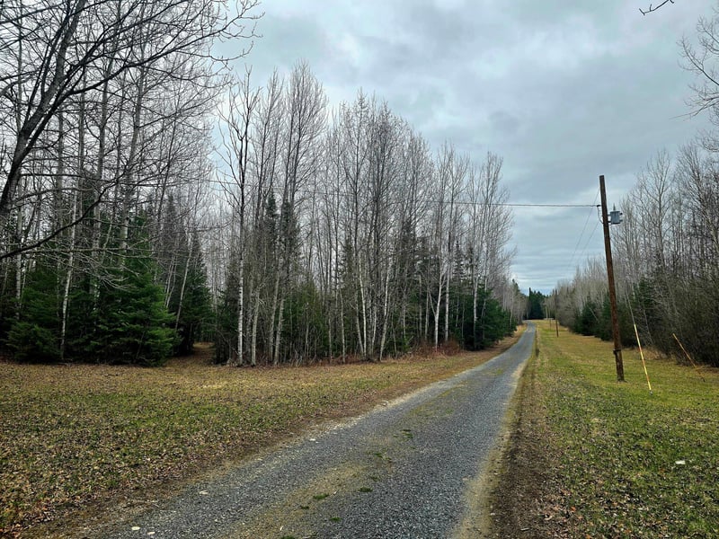 9464 Highway 53, Kabetogama, MN 56669