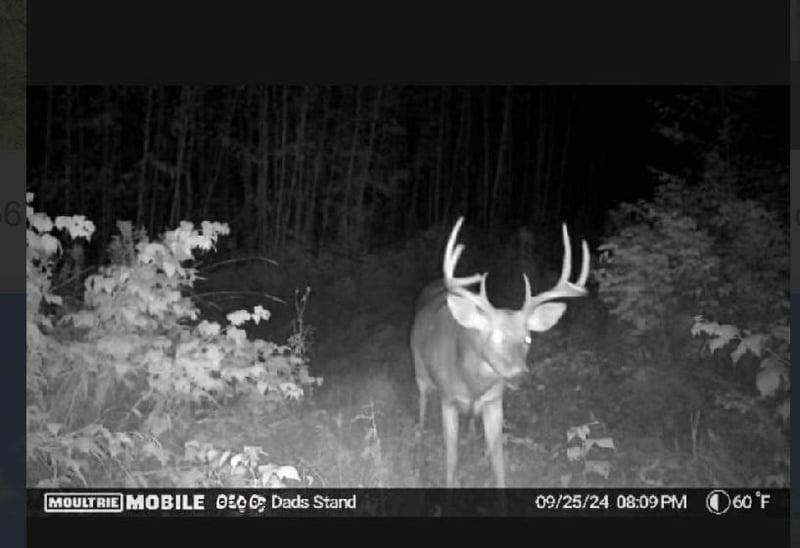 TBD Us Hwy 2, Bagley, MN 56621