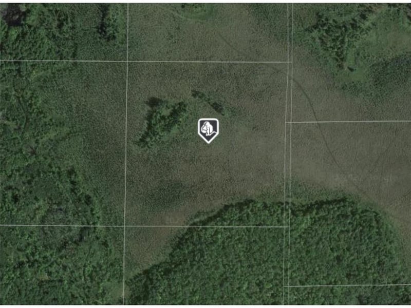 XXX Xxx, Ross Lake Twp, MN 56431