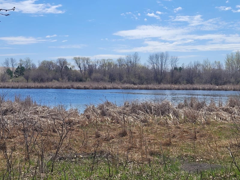 11335 Creek View Dr, Pelican Rapids, MN 56572