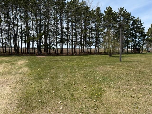 TBD 439th Ave, Perham, MN 56573