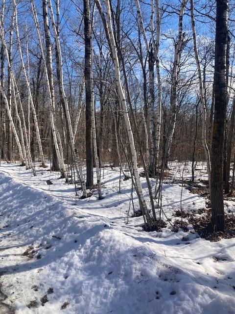 TBD Sherwood Dr SW, Motley, MN 56466