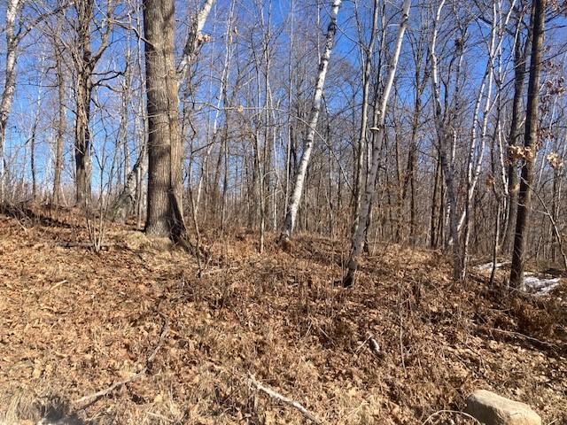 TBD Sherwood Dr SW, Motley, MN 56466