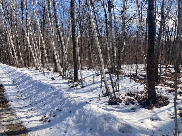 TBD Sherwood Dr SW, Motley, MN 56466