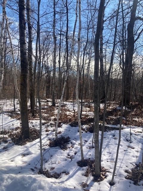 TBD Sherwood Dr SW, Motley, MN 56466