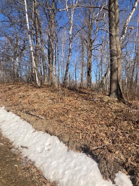 TBD Sherwood Dr SW, Motley, MN 56466