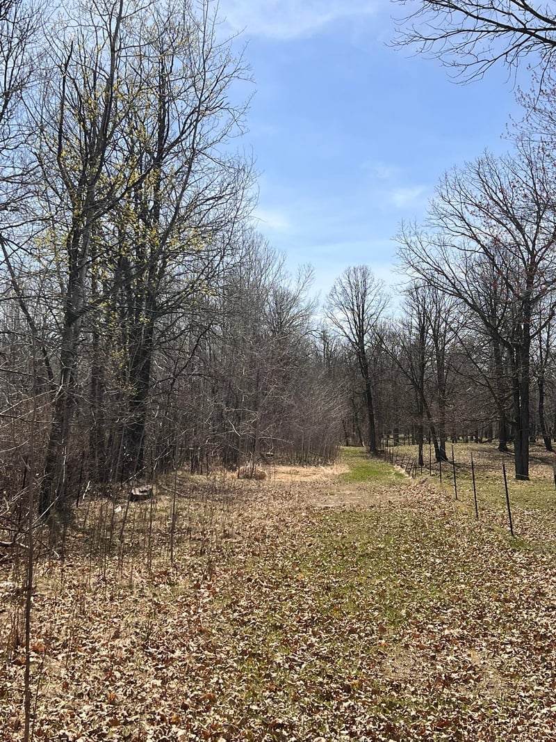 TBD NW 148th St, Cass Lake, MN 56633