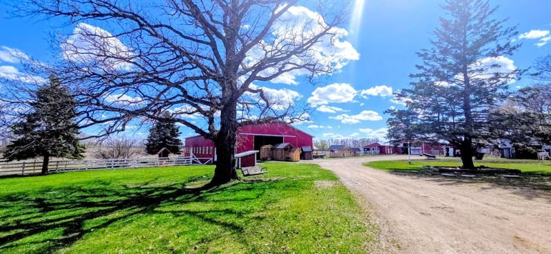 33293 115th Ave, Eagle Bend, MN 56446