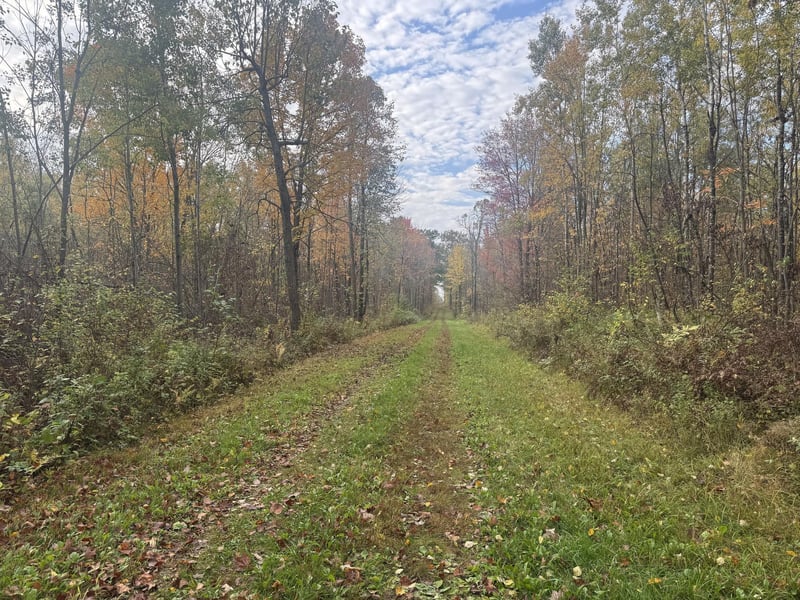 TBD N State Road 40, Exeland, WI 54835