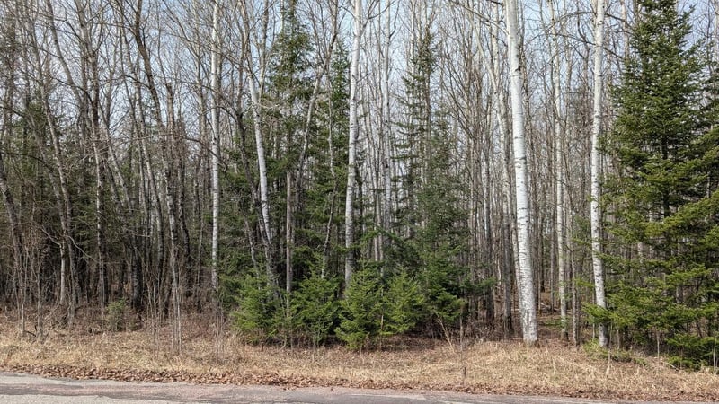 Lot 6 Lund Rd, Cook, MN 55723
