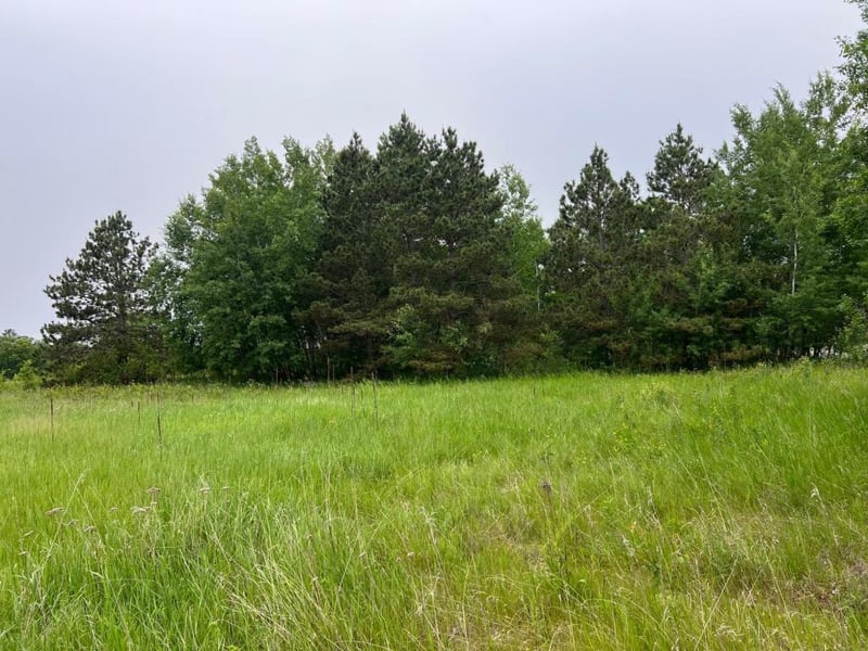 TBD Klondyke Rd, Ironton, MN 56455
