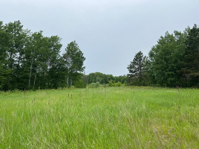 TBD Klondyke Rd, Ironton, MN 56455