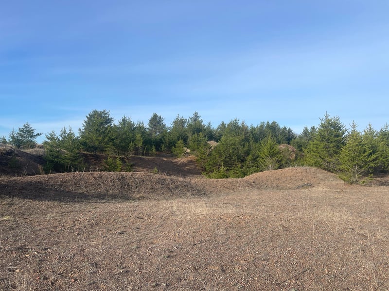 79327 Bonk Rd, Willow River, MN 55795