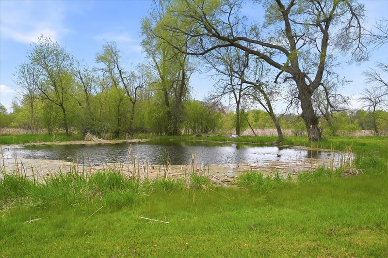 9215 Shannon Ln, Corcoran, MN 55340