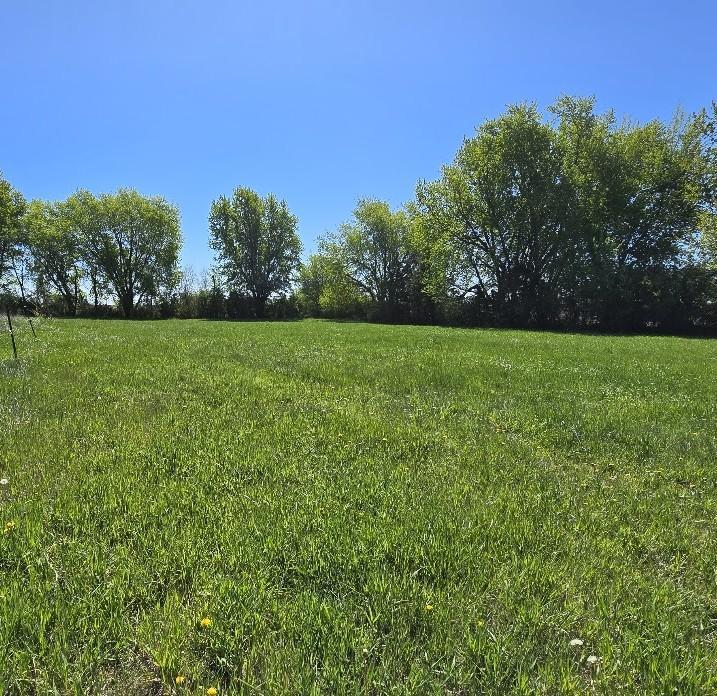 38492 470th Ave, Windom, MN 56101