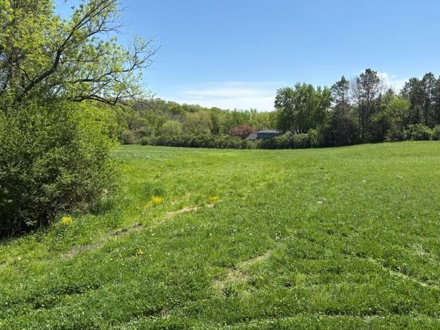 TBD Highway 55, Rockford Twp, MN 55313