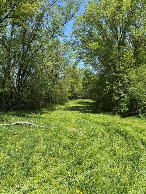 TBD Highway 55, Rockford Twp, MN 55313