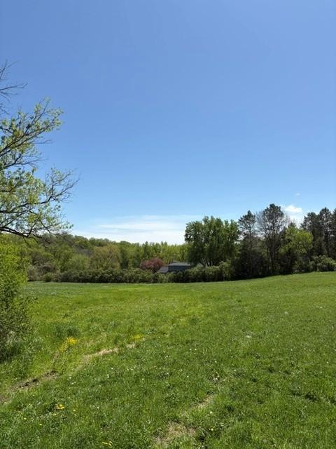 TBD Highway 55, Rockford Twp, MN 55313