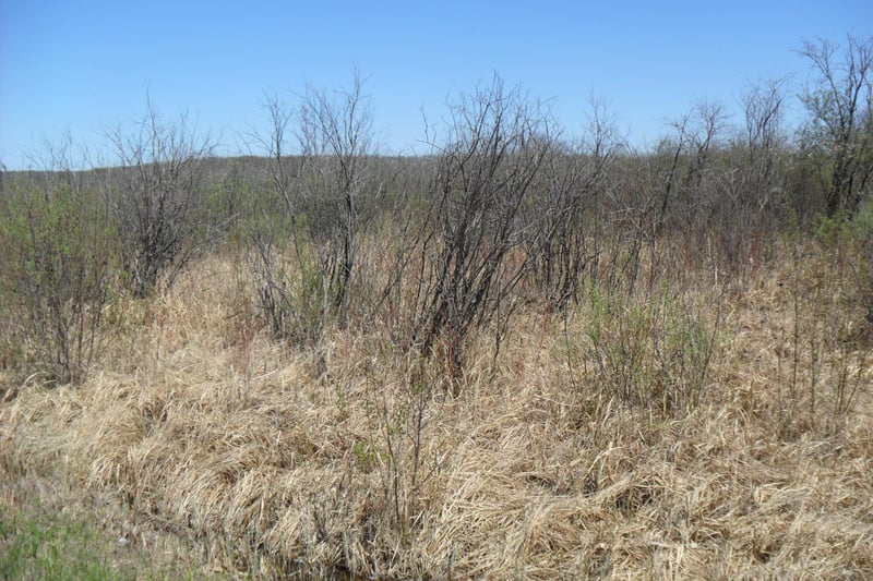35xxx 100th Ave, Onamia, MN 56359