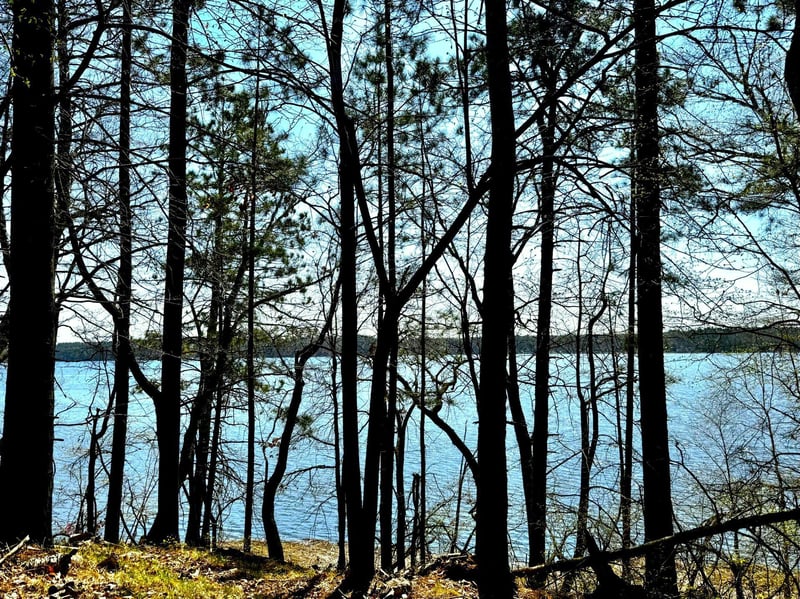 TBD Rognaldson Rd, Brainerd, MN 56401