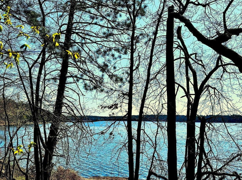 TBD Rognaldson Rd, Brainerd, MN 56401