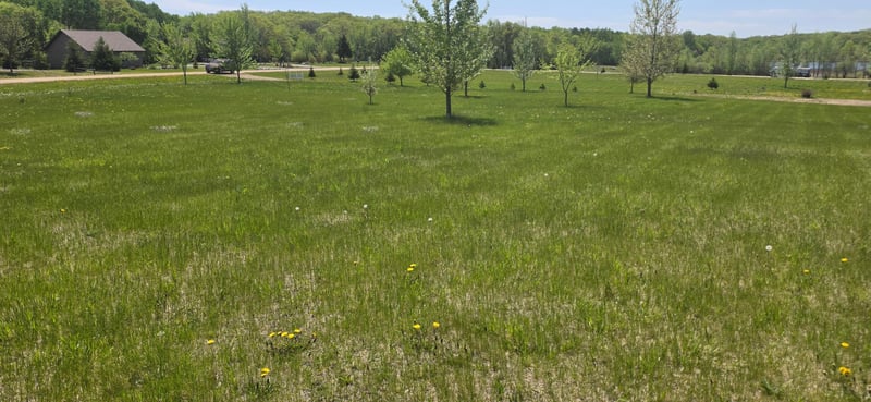 TBD Meadows Cir, Audubon, MN 56511