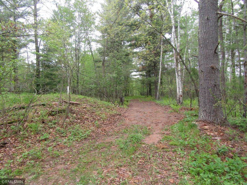 15442 Lofty Pines Rd, Pine City, MN 55063