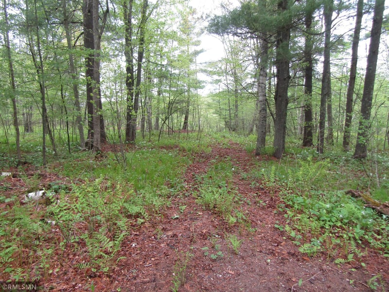 15442 Lofty Pines Rd, Pine City, MN 55063