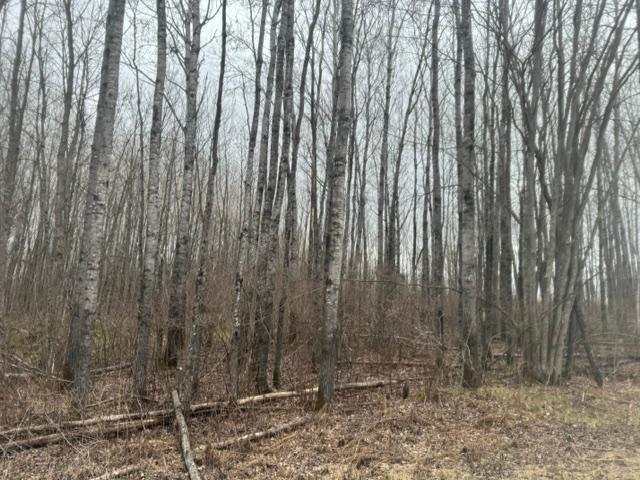 XXX Frazer Rd, Deer River, MN 56631