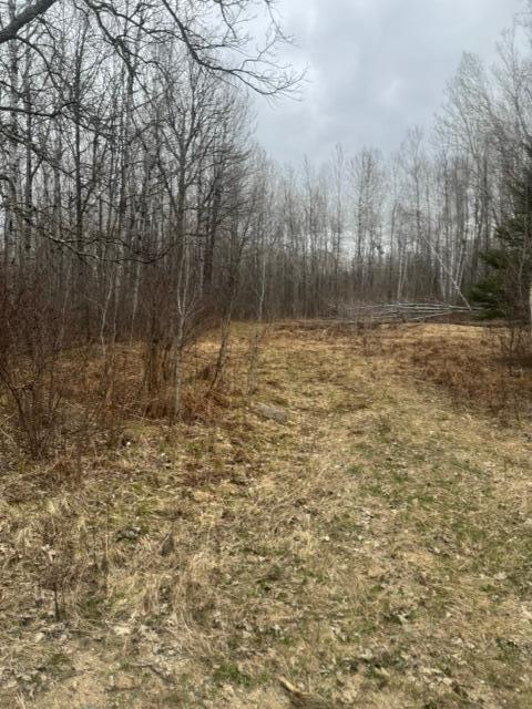XXX Frazer Rd, Deer River, MN 56631