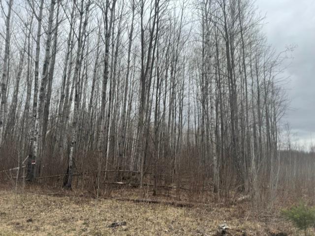 XXX Frazer Rd, Deer River, MN 56631