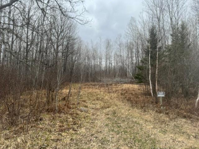 XXX Frazer Rd, Deer River, MN 56631