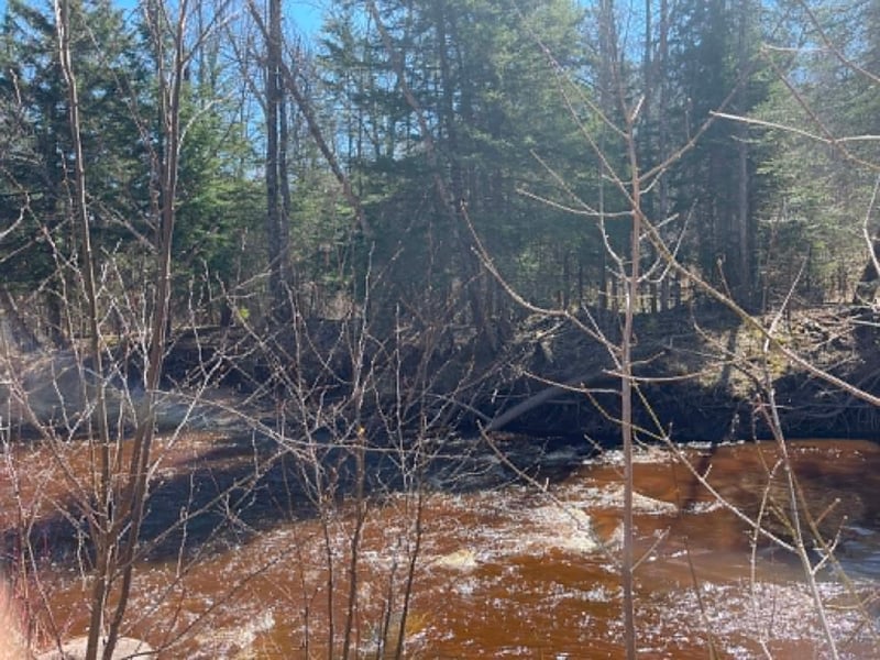 XXX Co Rd 8, Holyoke, MN 55707