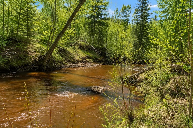 XXX Co Rd 8, Holyoke, MN 55707