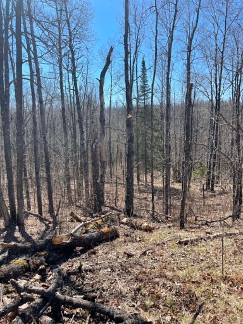 XXX Co Rd 8, Holyoke, MN 55707