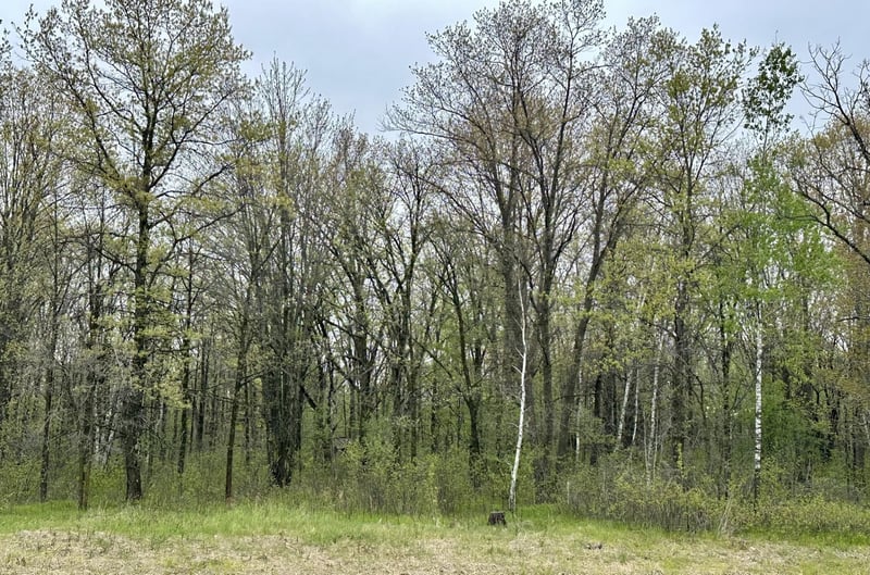TBD Jewel Rd, Little Falls, MN 56345