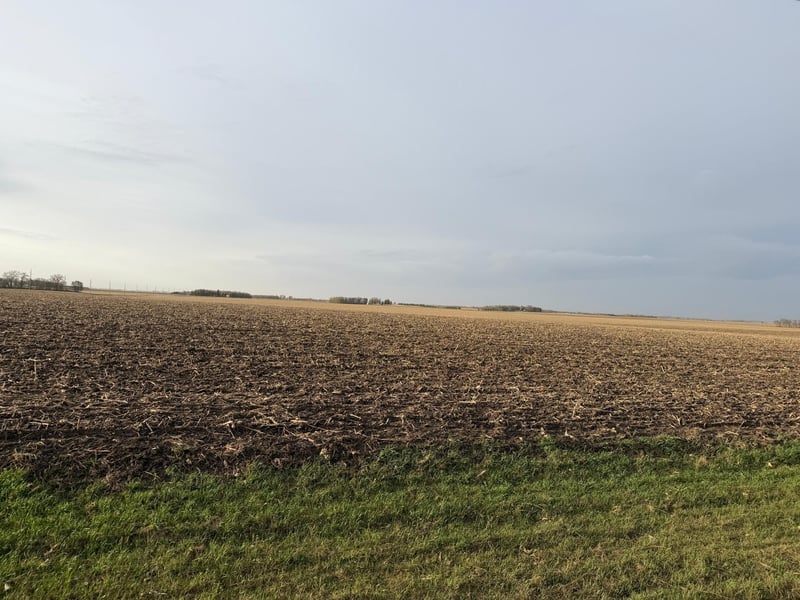 3544 250th St, Dawson, MN 56232