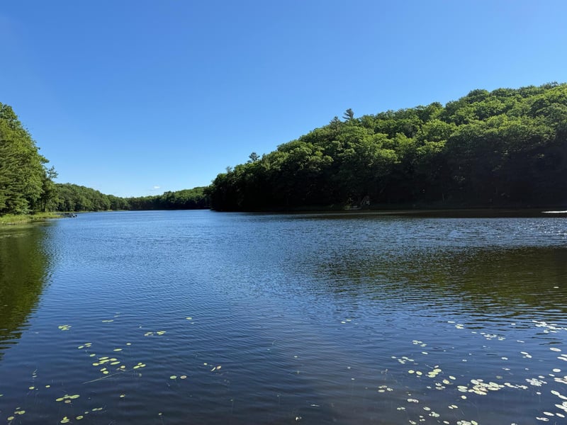 N888 Leach Lake Rd, Barronett, WI 54813