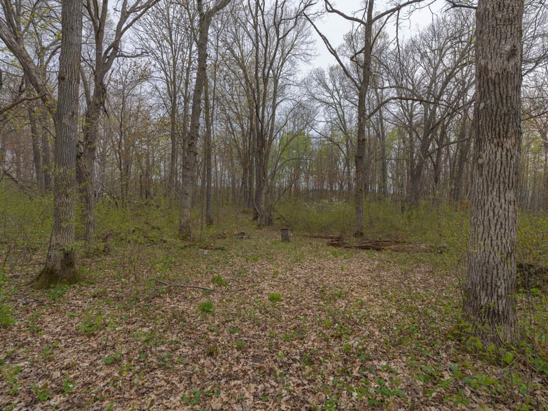 TBD Destiny Dr, Garrison, MN 56450