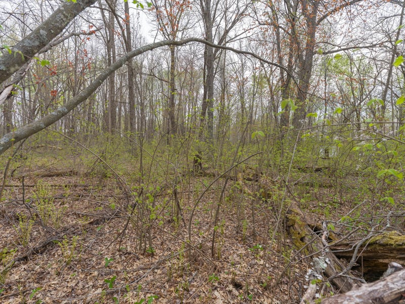 TBD Destiny Dr, Garrison, MN 56450