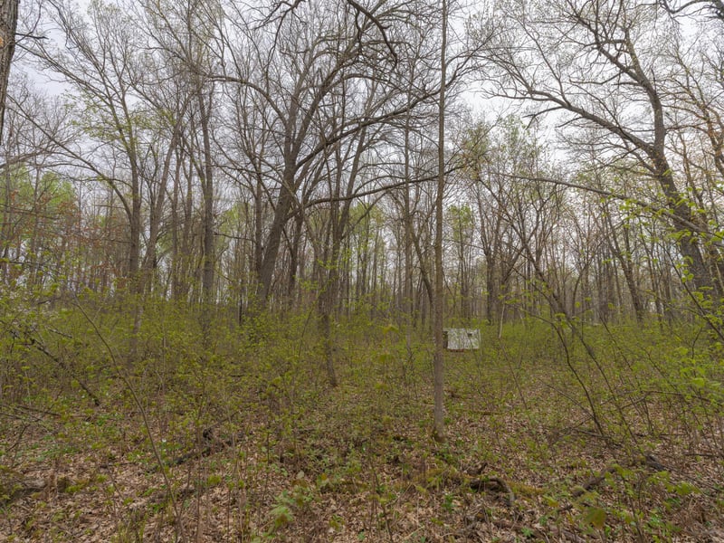 TBD Destiny Dr, Garrison, MN 56450