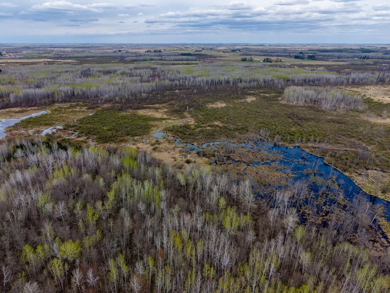 XXX Brown Rd, Kettle River, MN 55757